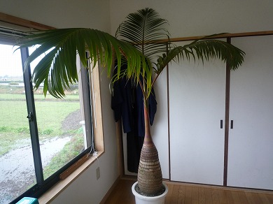 P1080105.jpg