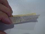 aaae-yuzuRIMG2639.jpg