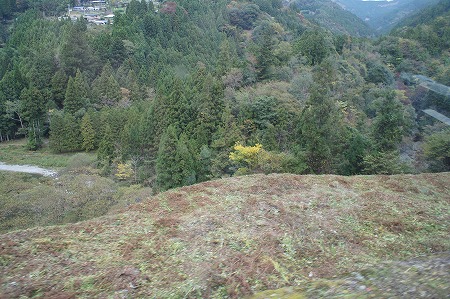 aeaeaDSC03230.jpg