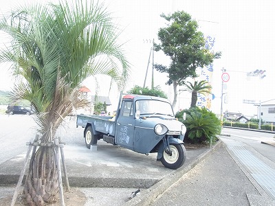 rooor-yuzuRIMG3353.jpg